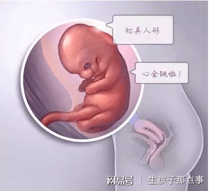 温馨医疗环境